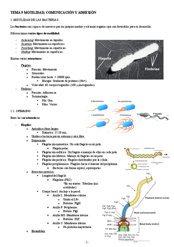 MICROBIOLOGIA-TEMA-9-MOTILIDAD-COMUNICACION-Y-ADHESION.pdf