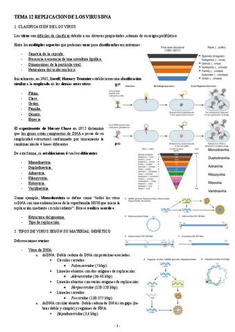 MICROBIOLOGIA-TEMA-12-REPLICACION-DE-LOS-VIRUS-DNA.pdf