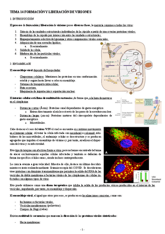 MICROBIOLOGIA-TEMA-14-FORMACION-Y-LIBERACION-DE-VIRIONES.pdf