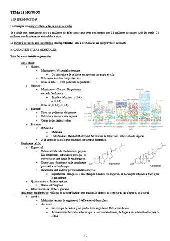 MICROBIOLOGIA-TEMA-18-HONGOS.pdf