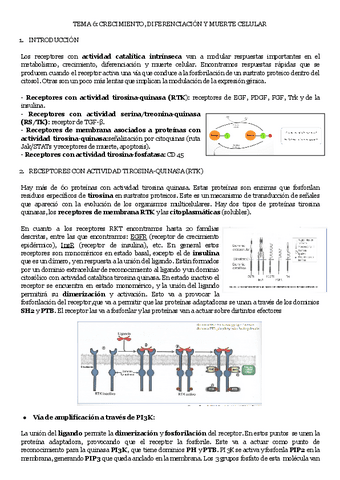 TEMA-6-CRECIMIENTO-DIFERENCIACION-Y-MUERTE-CELULAR.pdf