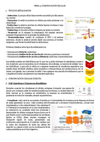 TEMA-3-COMUNICACION-CELULAR.pdf
