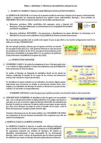 TEMA-1-METODOS-Y-TECNICAS-EN-GENETICA-MOLECULAR.pdf