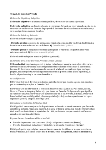 Derecho Privado Temas 1-15.pdf