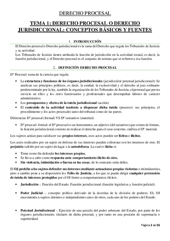 DERECHO-PROCESAL.-DIAPOSITIVAS-COMPLETAS.pdf