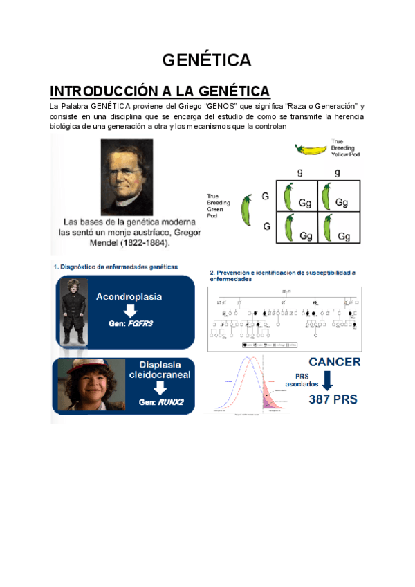 GENETICA-1.pdf