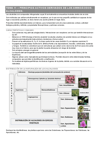 TEMA-11-FARMACOGNOSIA.pdf