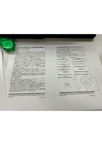 parcial1Estadistica2324.pdf