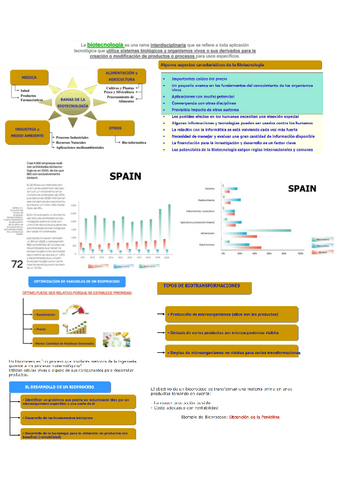 Diapositivas-teoria-para-llevar-a-examen.pdf