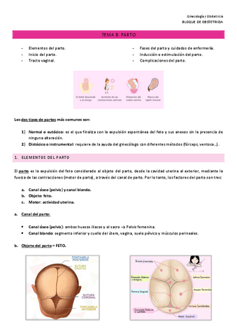 Ginecologia-y-Obstetricia-08.pdf