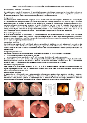 TEMA-5-IL-PAT-Voz.pdf