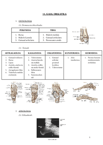 11.-gaia-ORKATILA.pdf