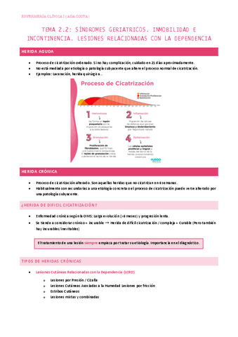 2.2-Sindromes-geriatricos.-Inmobilidad-e-incontinencia.-Lesiones-relacionadas-con-la-dependencia.pdf