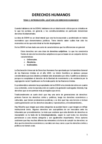 Apuntes-finales-DDHH-Pablo-de-Lora.pdf