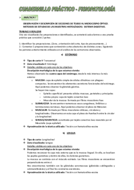Cuadernillo práctico.pdf