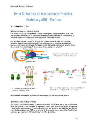 tema-8-metodos.pdf