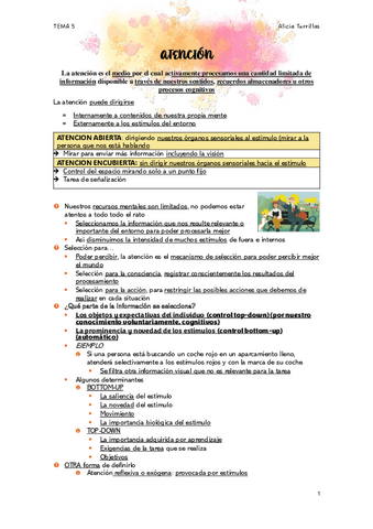 tema-5-atencion.pdf