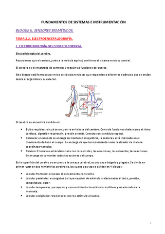 Apuntes-tema-2.2.-Electroencefalografia.pdf