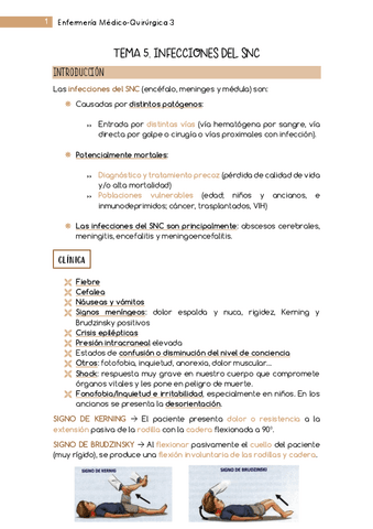 Tema-5-MQ3-Neurologia.pdf