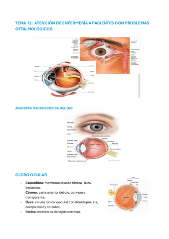 Resumen-tema-12-oftalmologia-2PARCIAL.pdf