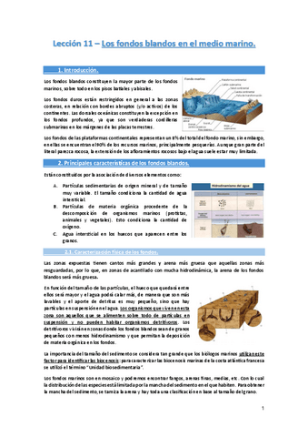 Leccion-11-Los-fondos-blandos-del-medio-marino..pdf