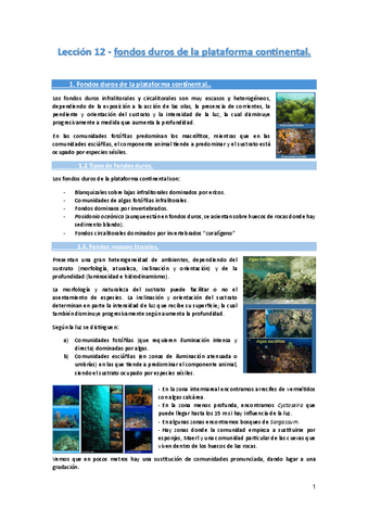 Leccion-12-Los-fondos-duros-del-medio-marino..pdf
