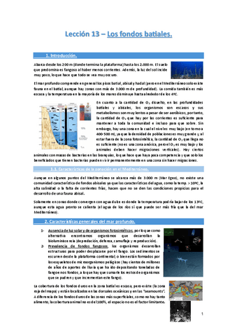 Leccion-13-Los-fondos-batiales..pdf