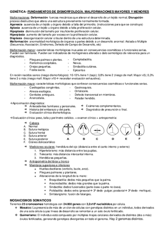 GENETICA temas 1-6.pdf