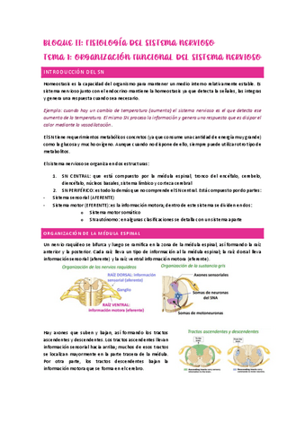 bloque-2-fisiologia-de-SN.pdf