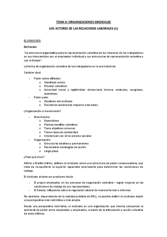 Tema-6.-Organizaciones-sindicales.pdf