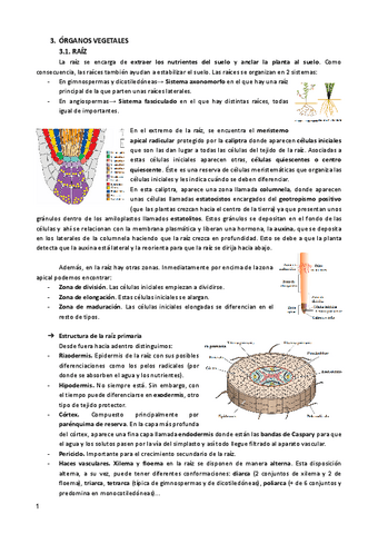 BIOCEL-II-TEMAS-14-23-2aParte.pdf