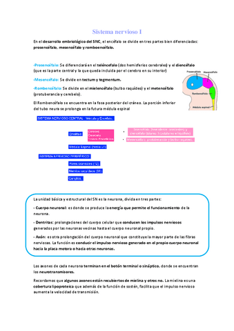 Sistema-nervioso-parte-1.pdf