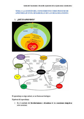 TEMA-3-GESTION.pdf