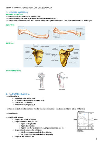 TEMA-4-AFECCIONES.pdf