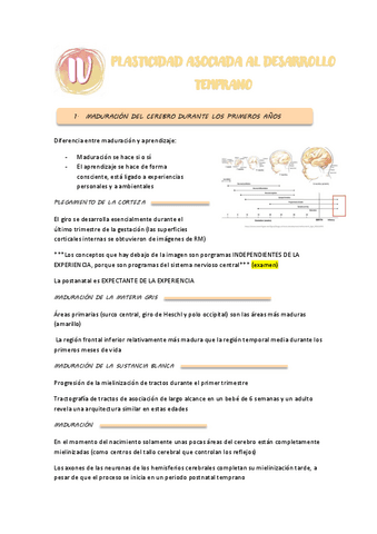 TEMA-4-PSICOBIOLOGIA.pdf