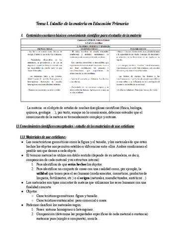 TEMA-1.pdf