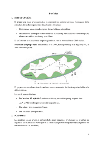 Porfirias.pdf
