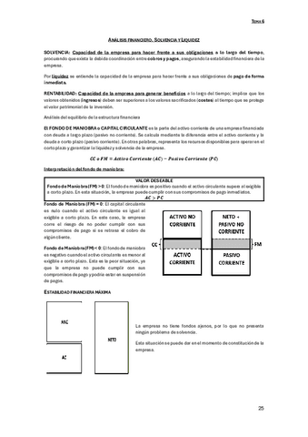 06-Analisis-Financiero.-Solvencia-y-Liquidez.pdf