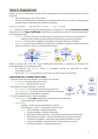 Tema-8.-Angiospermas.pdf