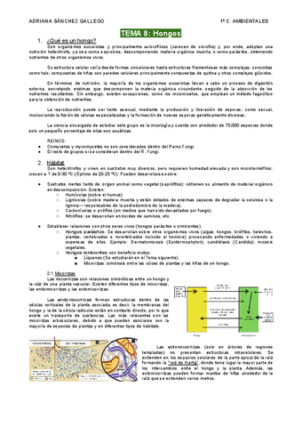 Tema-8-Hongos.pdf