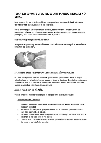 TEMA-1.2.-Soporte-vital-inmediato.pdf