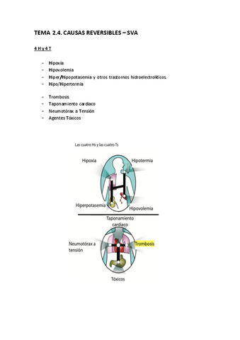 Tema-2.4.-Causas-reversibles-SVA.pdf