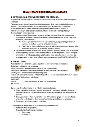 TEMAS-HISTORIA.pdf