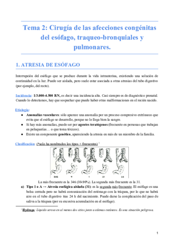 Neumo Tema 02.pdf