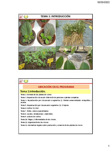 Tema-1-Introduccion.pdf
