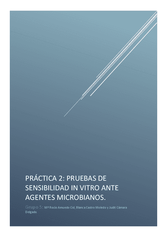Practica-2.pdf