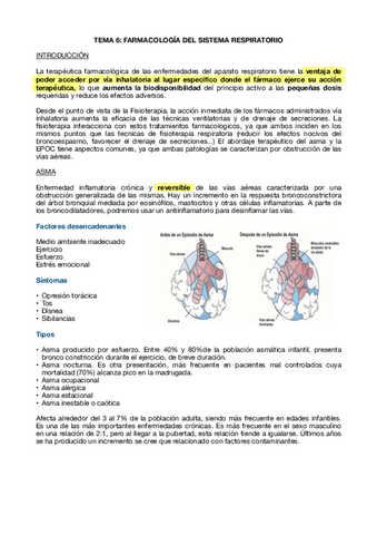 TEMA-6-FARMA.pdf