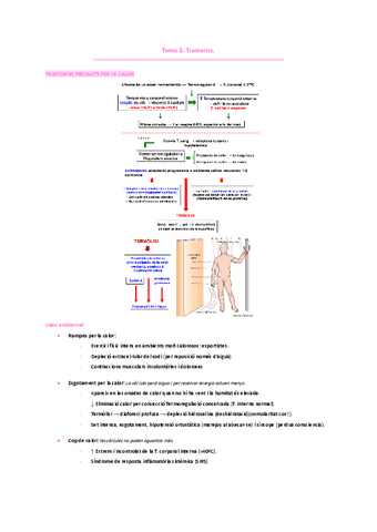 ENDOCRINOLOGIA Tema-2.-Trastorns.pdf