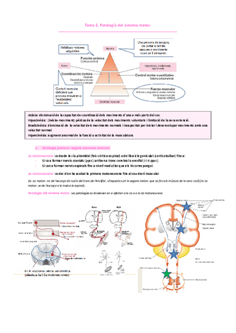 NEUROLOGIA Tema-2.-Patologia-del-sistema-motor.pdf