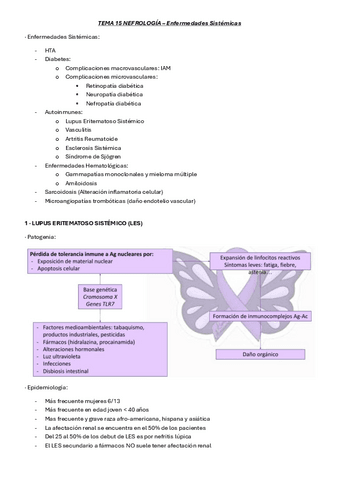 TEMA-15-NEFROLOGIA-enfermedades-sistemicas.pdf